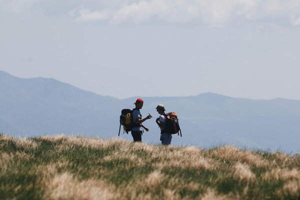 Quels sont les secrets pour une visite réussie des îles Lofoten en Norvège : conseils et itinéraires ?