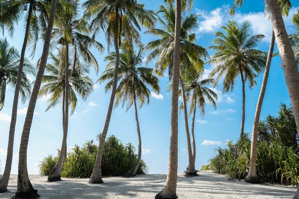 Comment trouver une location de vacances en Périgord avec des ateliers de trufficulture et des visites de grottes préhistoriques?