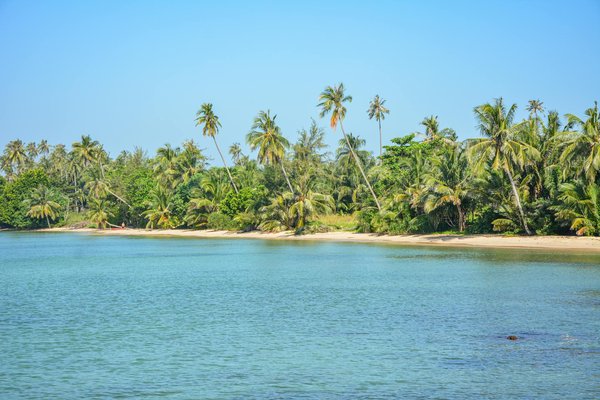 Comment organiser une visite des vignobles de la vallée de Napa, Californie?